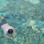 Lombok snorkel trip