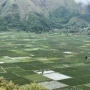 lombok